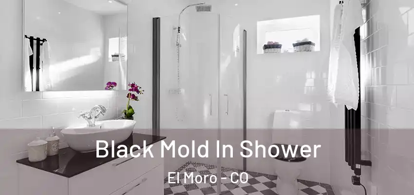  Black Mold In Shower El Moro - CO