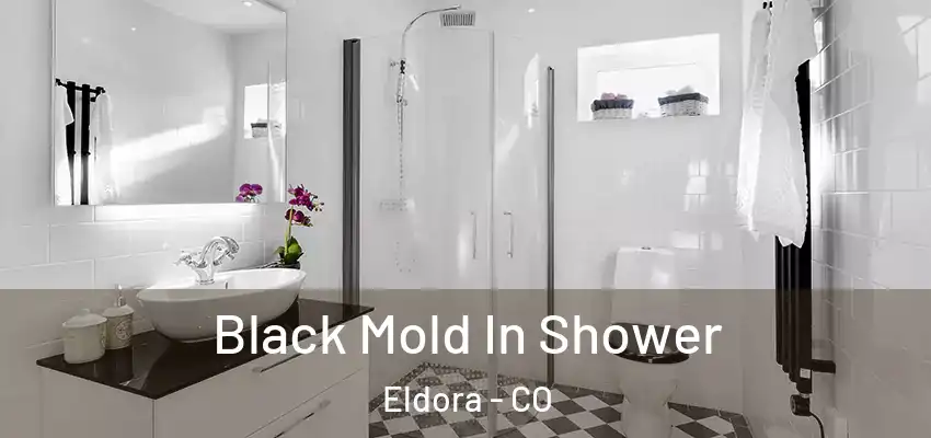 Black Mold In Shower Eldora - CO