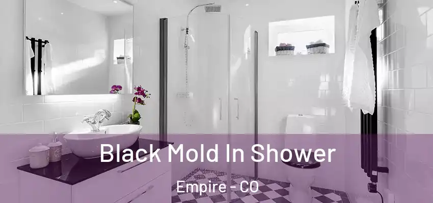  Black Mold In Shower Empire - CO