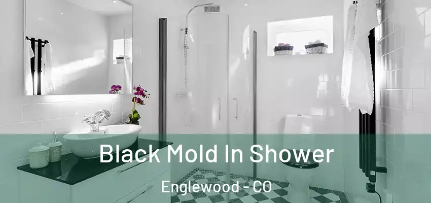  Black Mold In Shower Englewood - CO