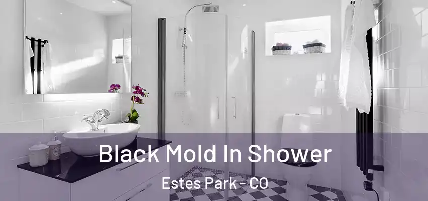  Black Mold In Shower Estes Park - CO