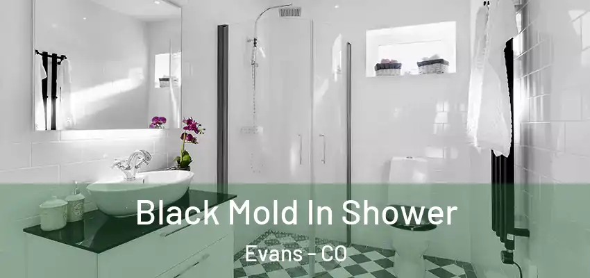  Black Mold In Shower Evans - CO