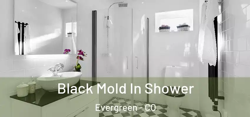  Black Mold In Shower Evergreen - CO