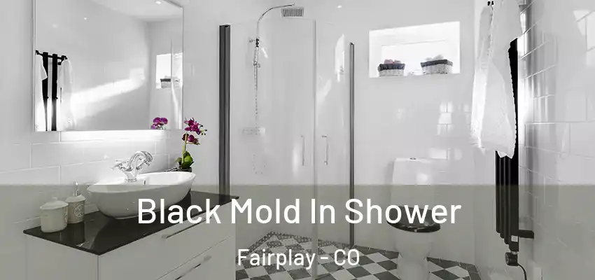  Black Mold In Shower Fairplay - CO