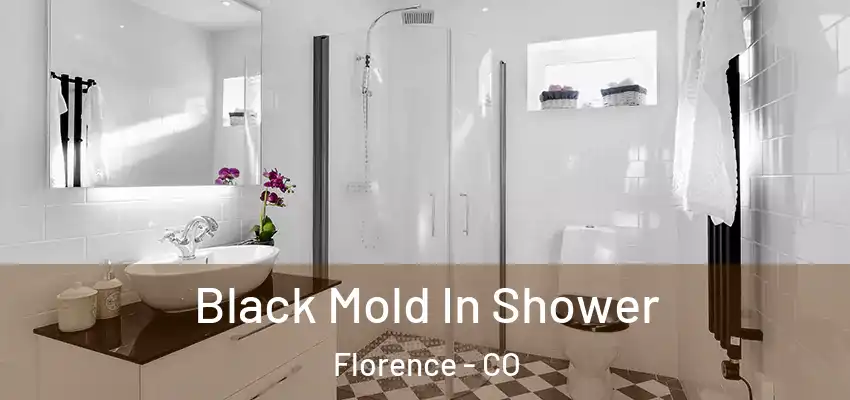  Black Mold In Shower Florence - CO