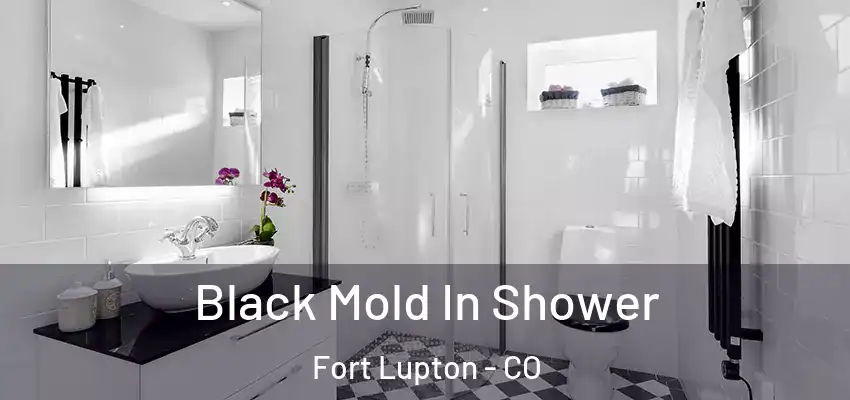  Black Mold In Shower Fort Lupton - CO