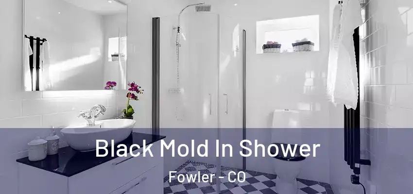  Black Mold In Shower Fowler - CO