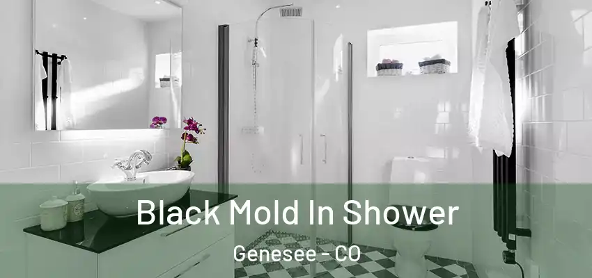  Black Mold In Shower Genesee - CO
