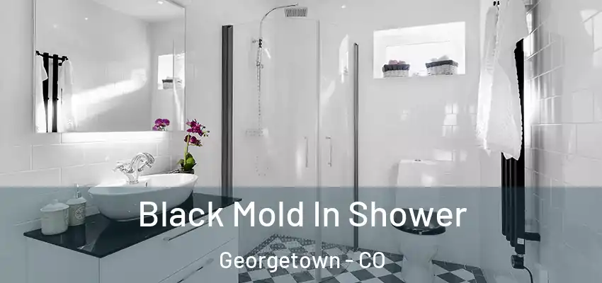  Black Mold In Shower Georgetown - CO