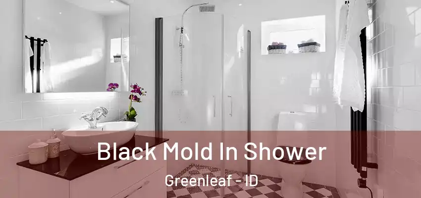 Black Mold In Shower Greenleaf - ID