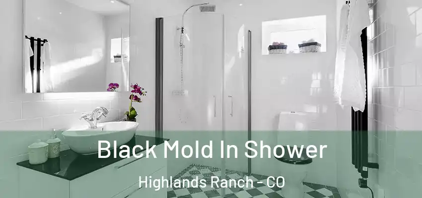  Black Mold In Shower Highlands Ranch - CO