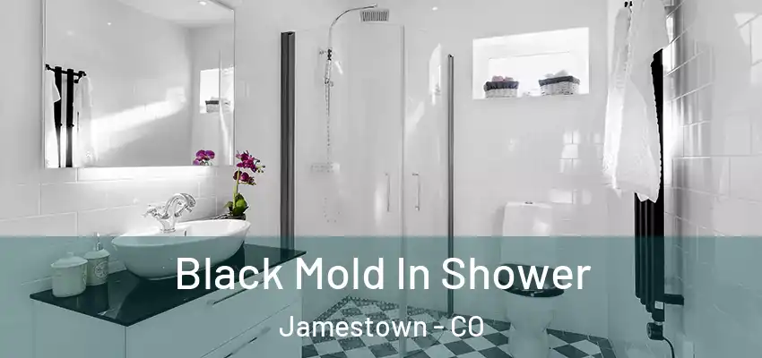 Black Mold In Shower Jamestown - CO