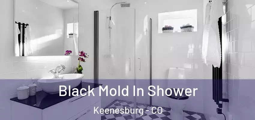  Black Mold In Shower Keenesburg - CO