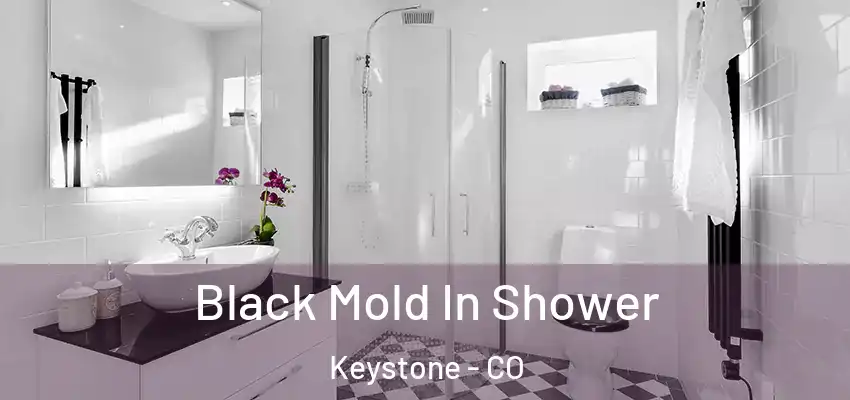 Black Mold In Shower Keystone - CO