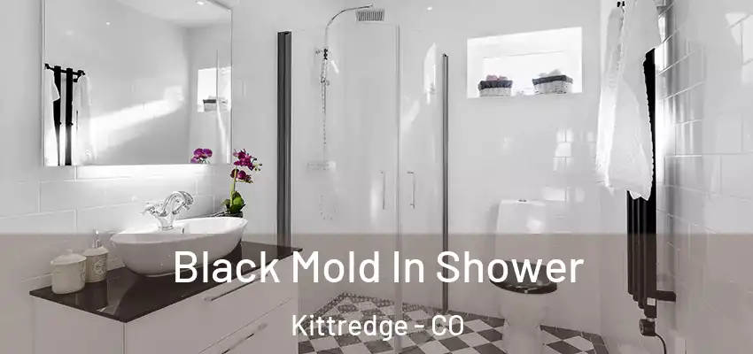  Black Mold In Shower Kittredge - CO