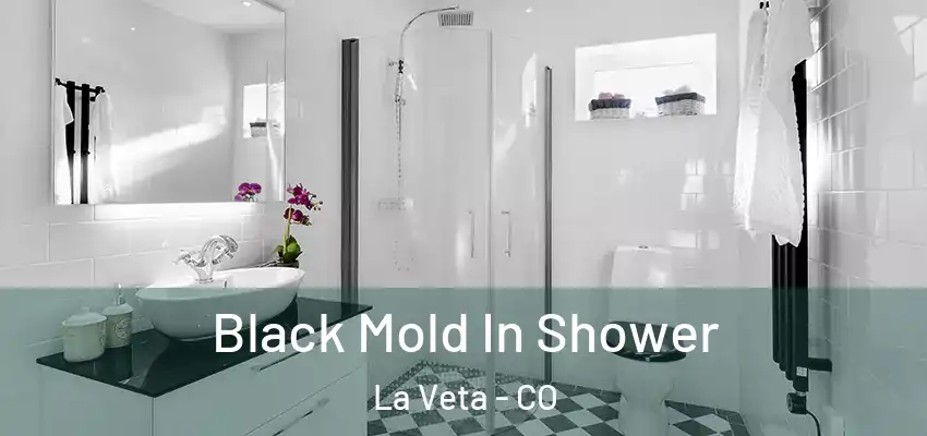  Black Mold In Shower La Veta - CO
