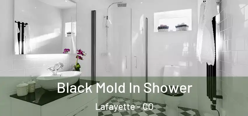 Black Mold In Shower Lafayette - CO