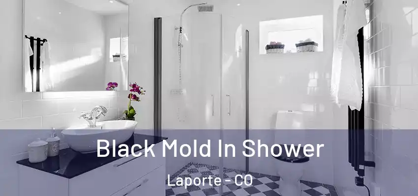 Black Mold In Shower Laporte - CO