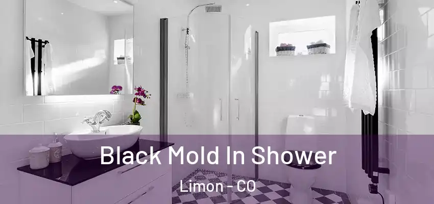  Black Mold In Shower Limon - CO