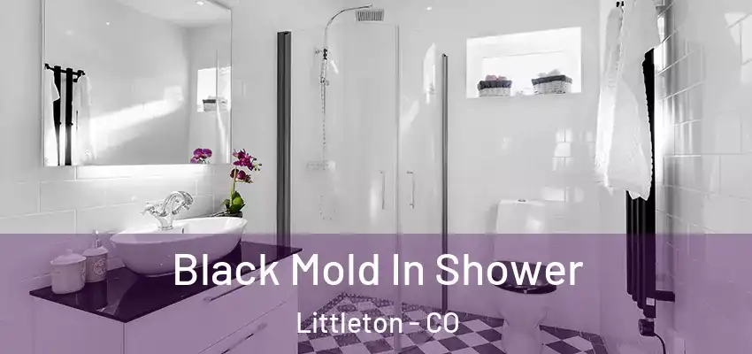  Black Mold In Shower Littleton - CO