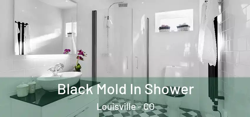  Black Mold In Shower Louisville - CO