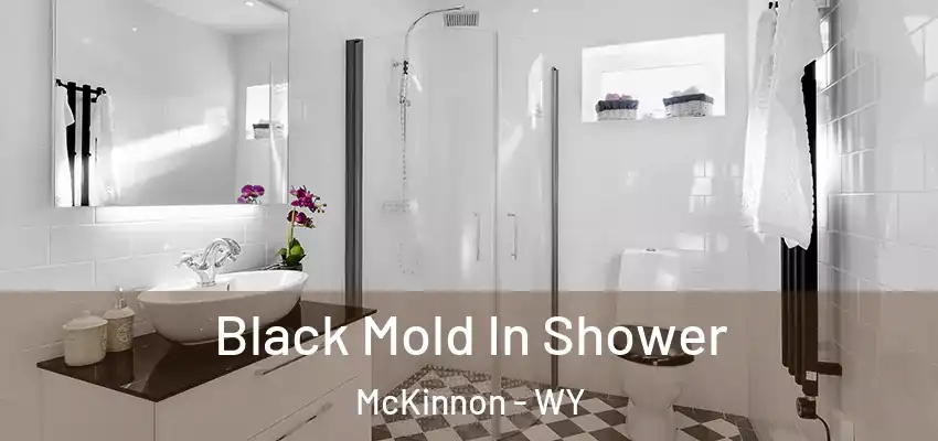 Black Mold In Shower McKinnon - WY