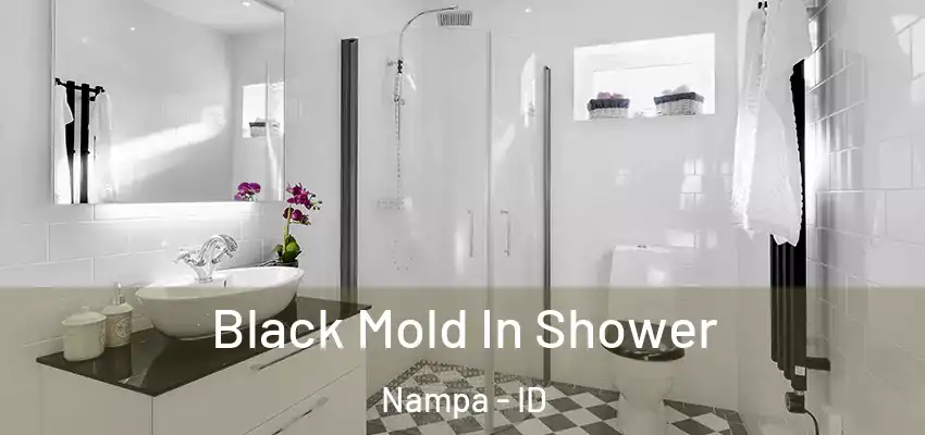 Black Mold In Shower Nampa - ID