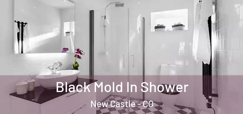  Black Mold In Shower New Castle - CO