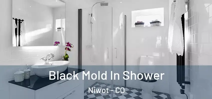  Black Mold In Shower Niwot - CO