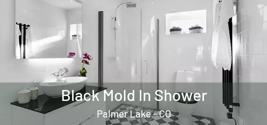 Black Mold In Shower Palmer Lake - CO