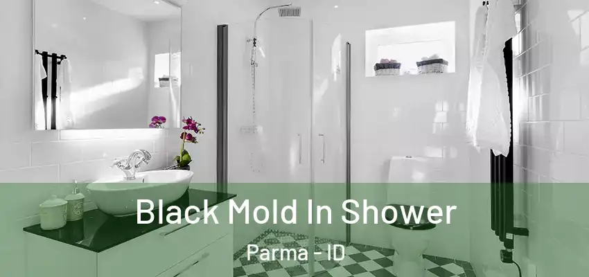  Black Mold In Shower Parma - ID