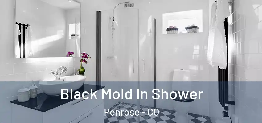 Black Mold In Shower Penrose - CO