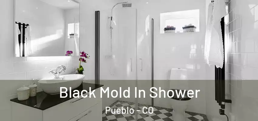  Black Mold In Shower Pueblo - CO