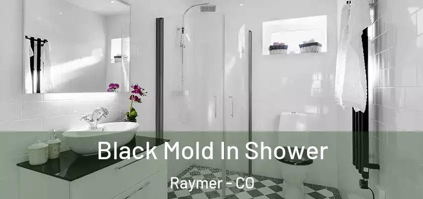  Black Mold In Shower Raymer - CO