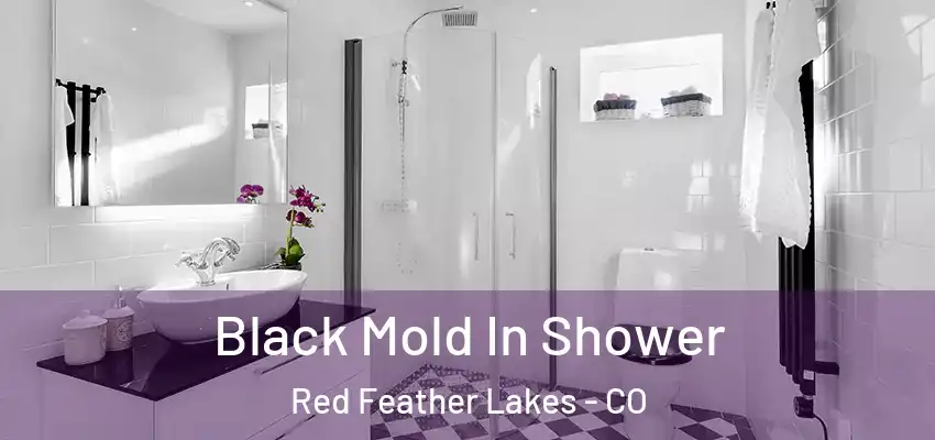 Black Mold In Shower Red Feather Lakes - CO