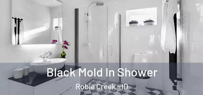  Black Mold In Shower Robie Creek - ID
