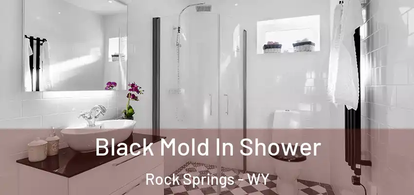  Black Mold In Shower Rock Springs - WY