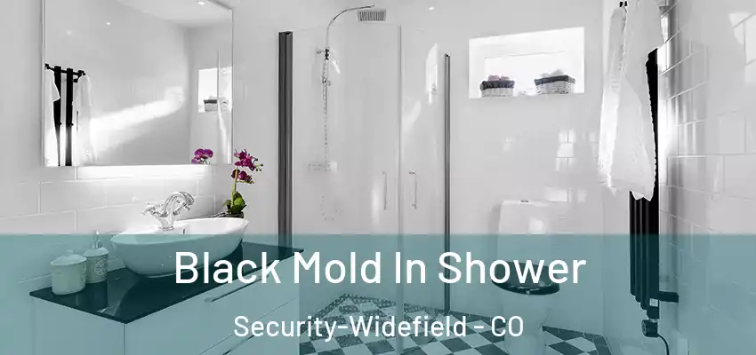  Black Mold In Shower Security-Widefield - CO