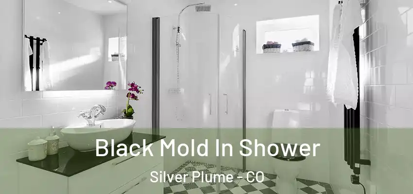 Black Mold In Shower Silver Plume - CO