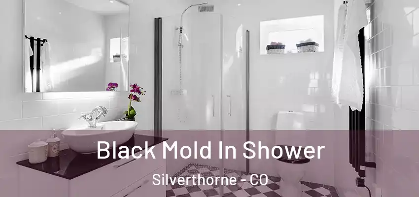 Black Mold In Shower Silverthorne - CO