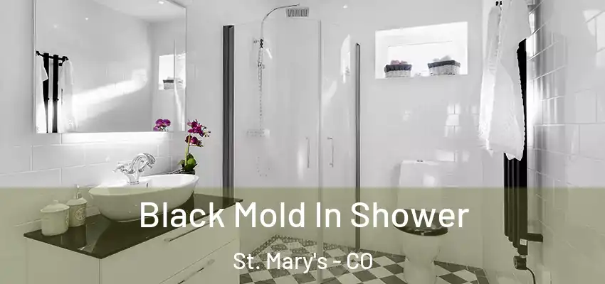  Black Mold In Shower St. Mary's - CO