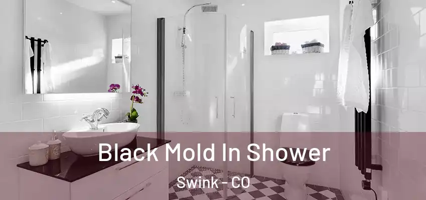 Black Mold In Shower Swink - CO
