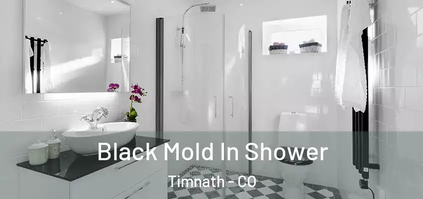  Black Mold In Shower Timnath - CO