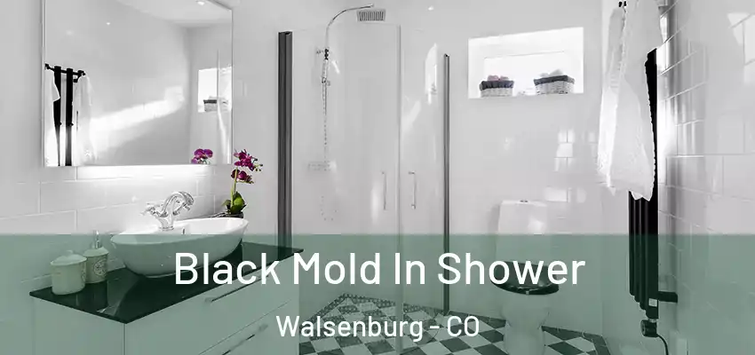 Black Mold In Shower Walsenburg - CO