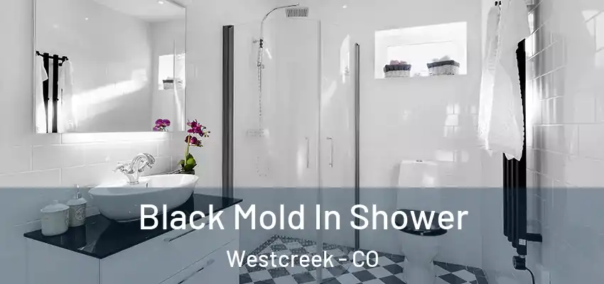  Black Mold In Shower Westcreek - CO