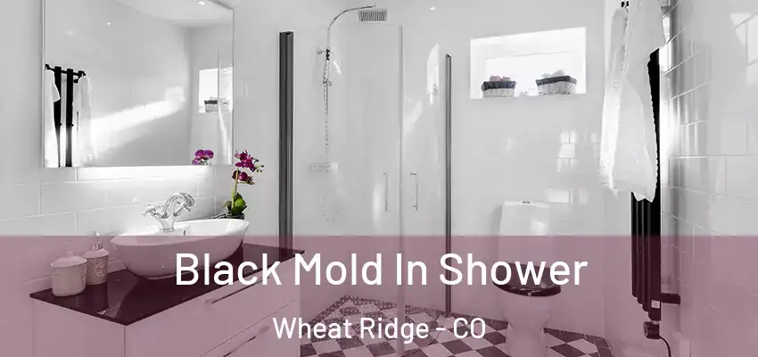  Black Mold In Shower Wheat Ridge - CO