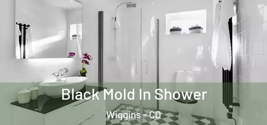 Black Mold In Shower Wiggins - CO