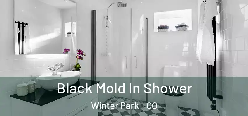 Black Mold In Shower Winter Park - CO