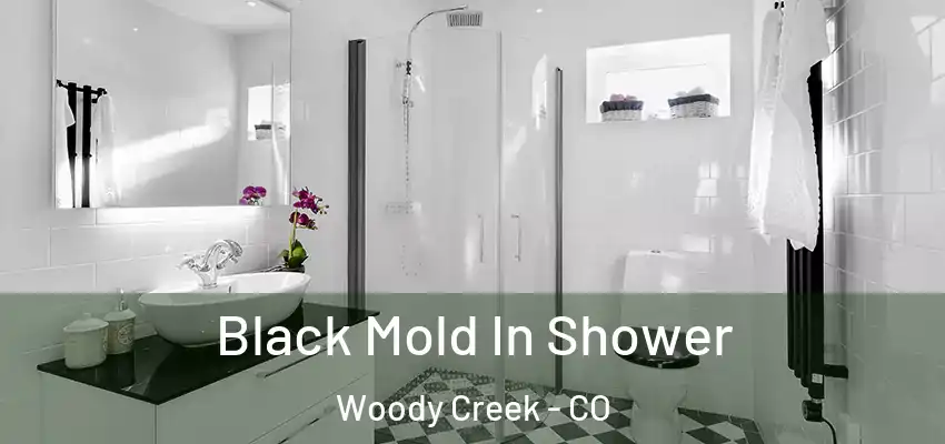  Black Mold In Shower Woody Creek - CO