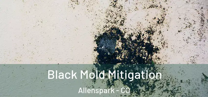  Black Mold Mitigation Allenspark - CO